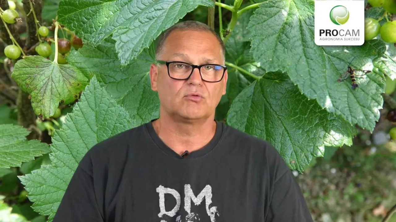 Krzysztof Gasparski Procam