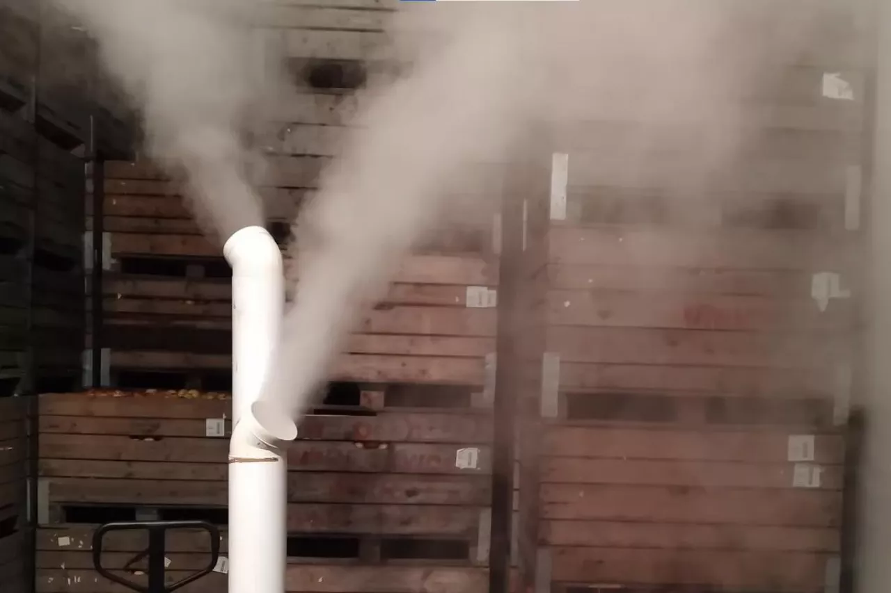 zamgławianie komory