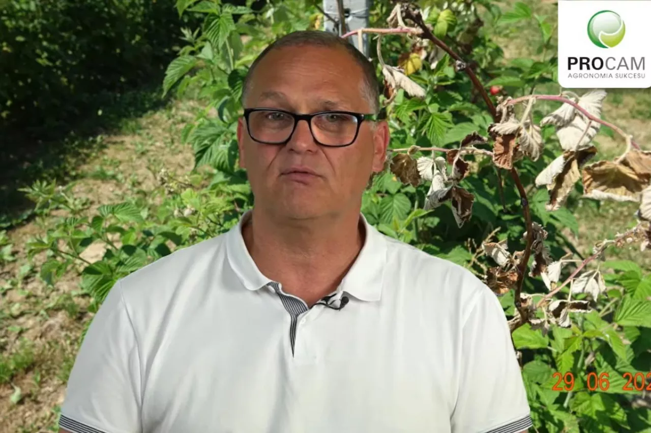 komunikat jagdoowy procam