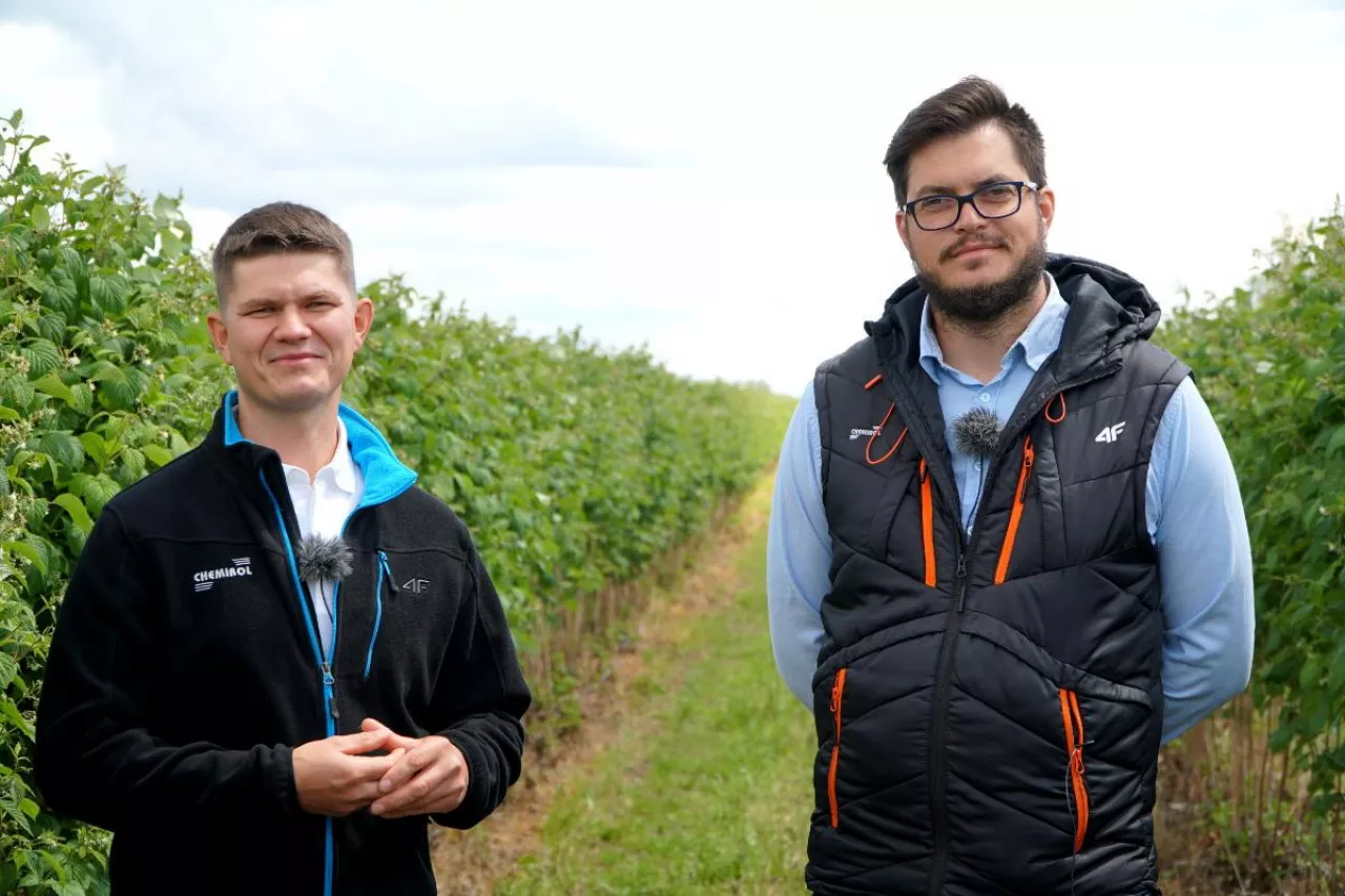 nawożenie malin fruit akademia