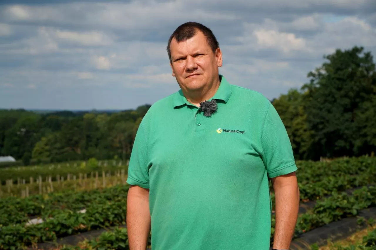 rafał forc truskawki