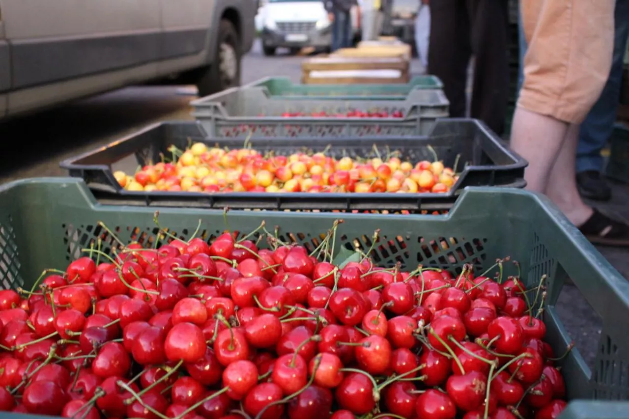 bronisze import owoców