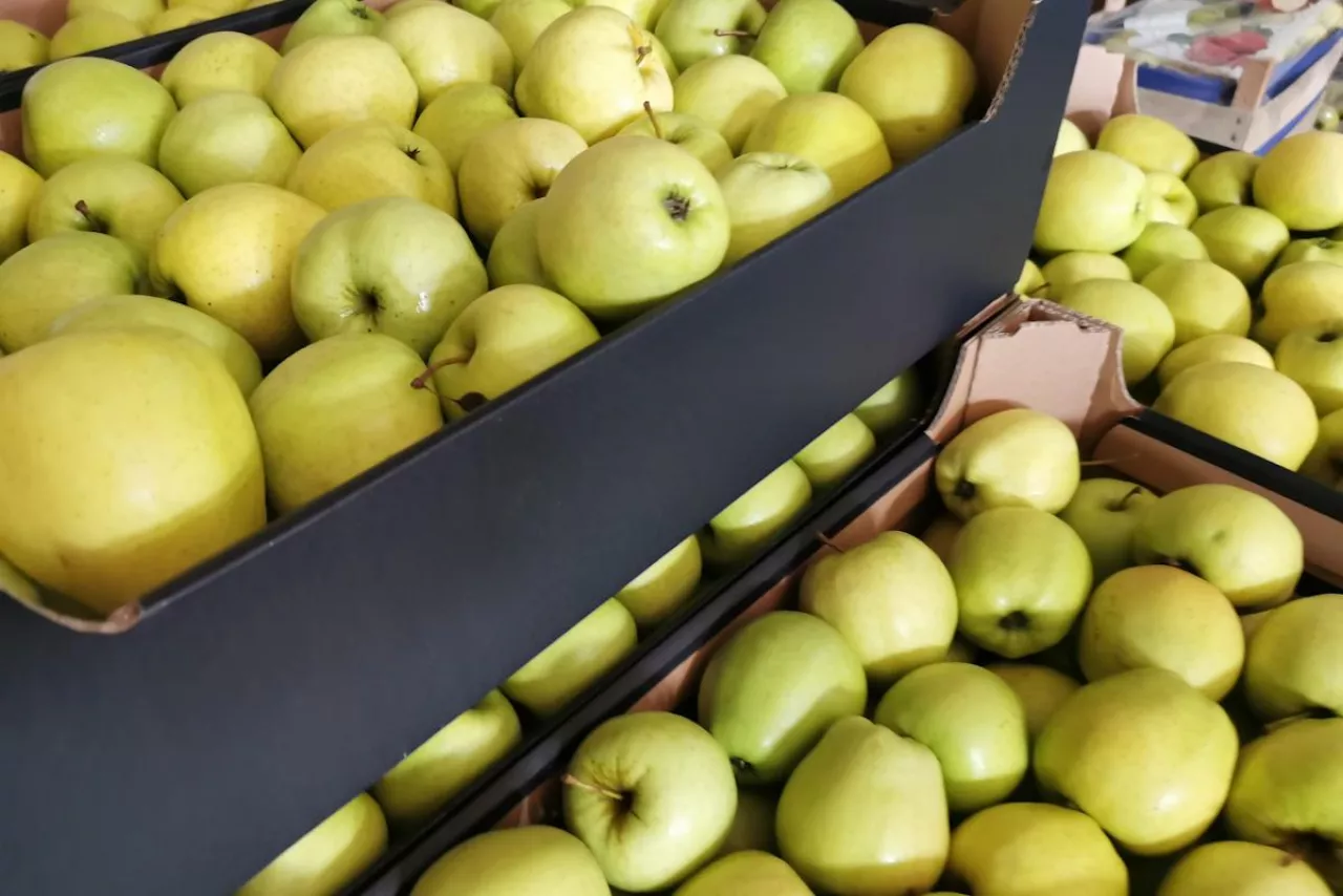 ceny jabłek deserowych