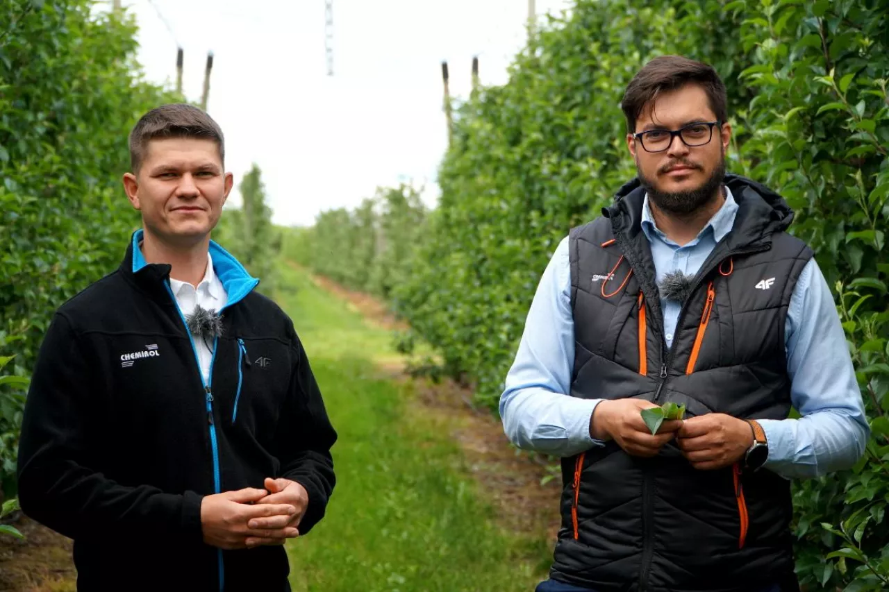 doradcy fruit akadmia