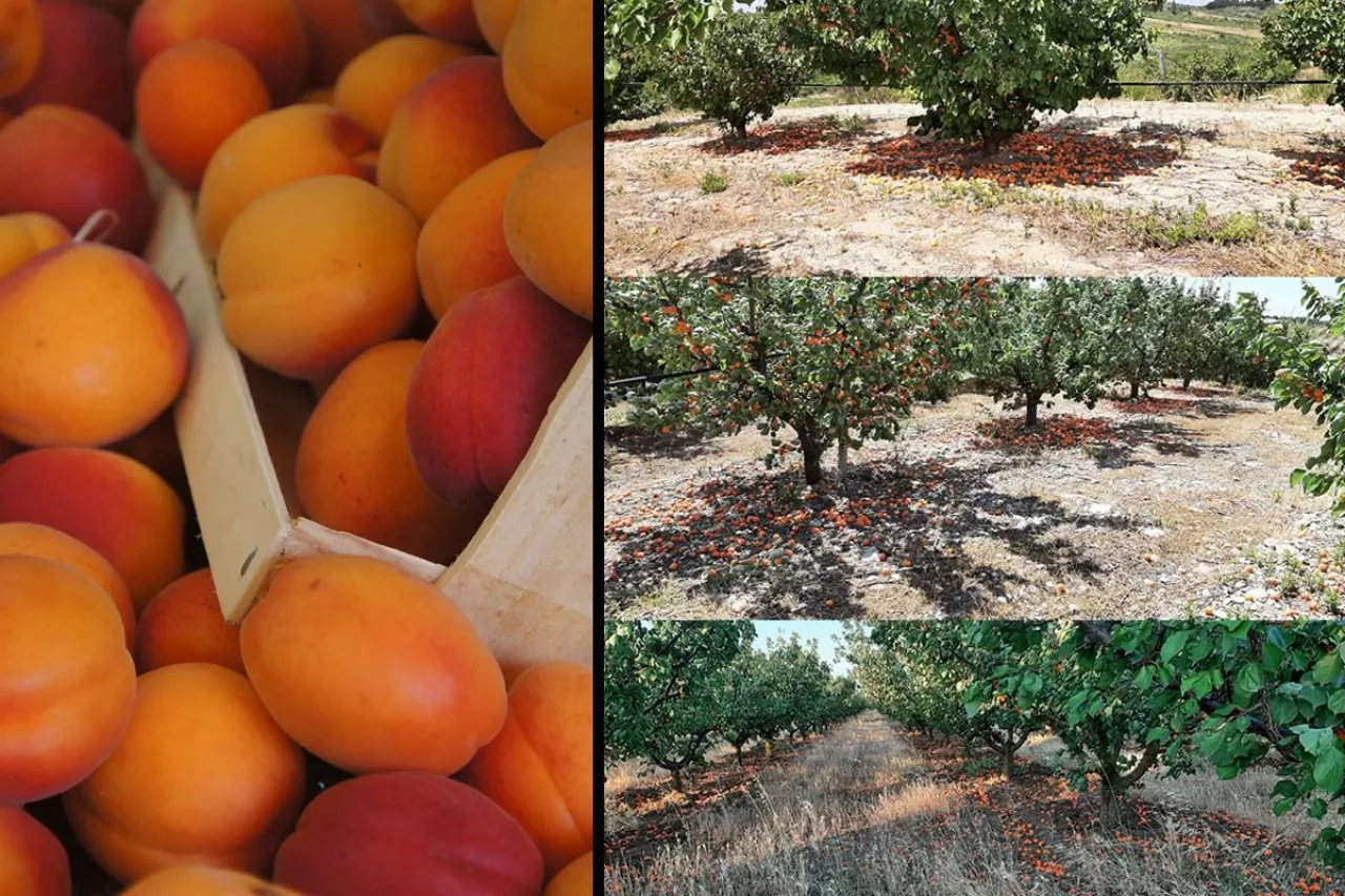 morele brak pracowników