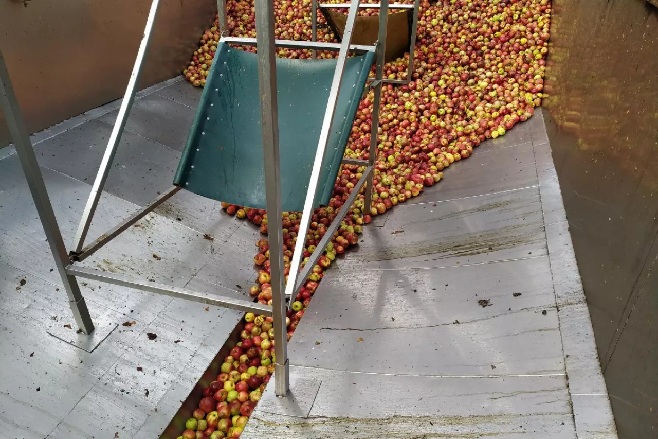 koncentrat jabłkowy z Ukrainy