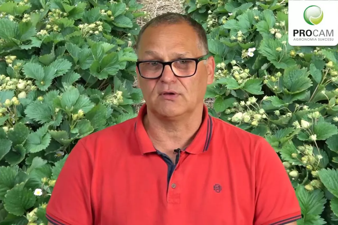 komunikat jagodowy procam