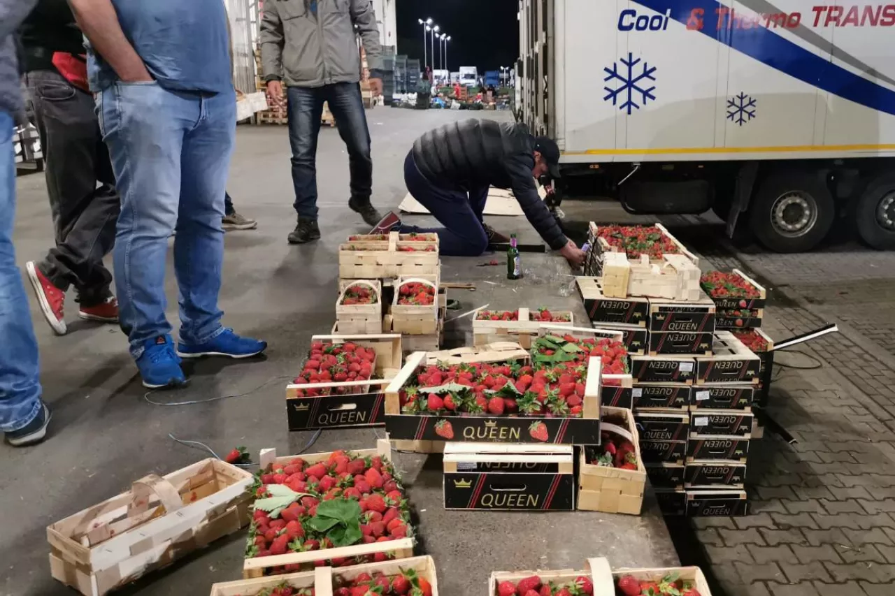 polska truskawka jest fałszowana