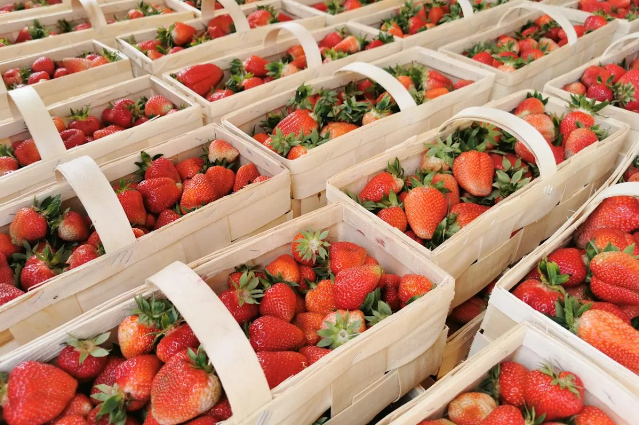 aktualne ceny truskawek w hurcie