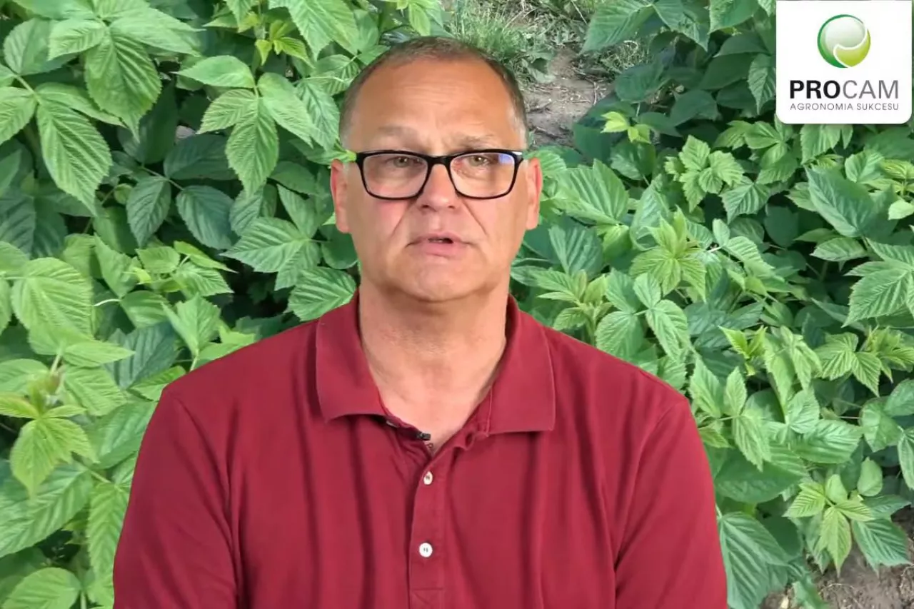 Krzysztof Gasparski procam