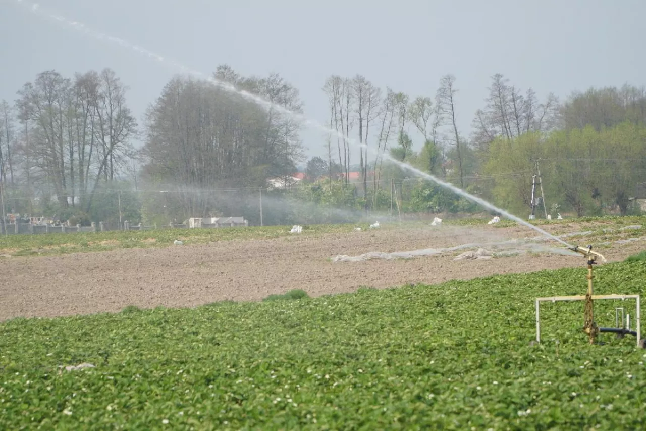 wyjątkowo suchy maj