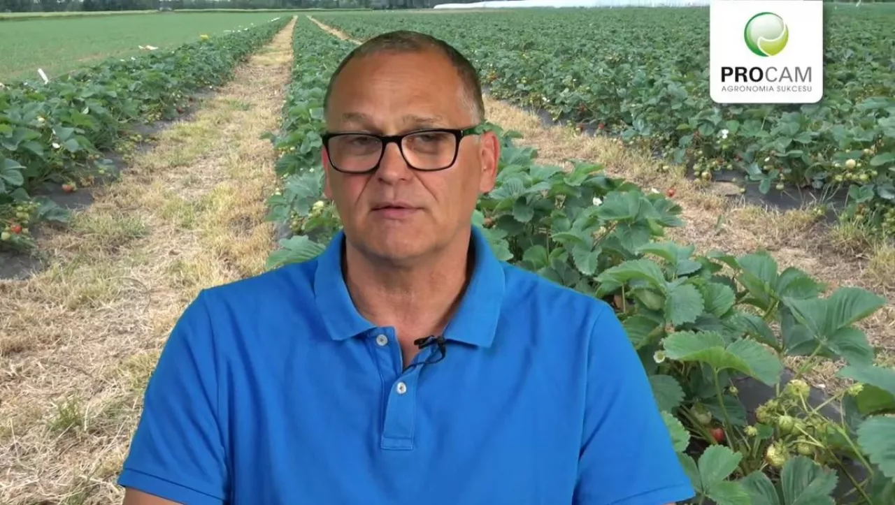 Krzysztof Gasparski - Procam Polska