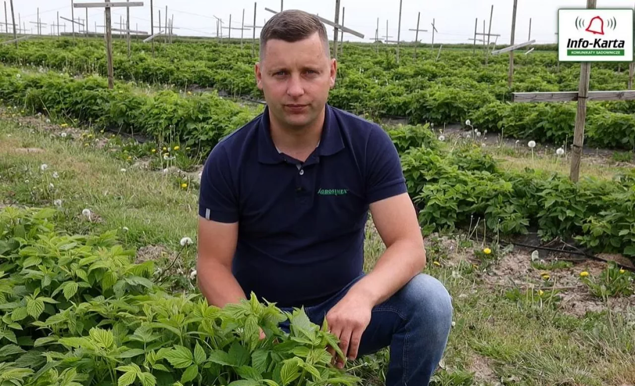 Uprawa malin - ochrona i nawożenie - 20.05.2022