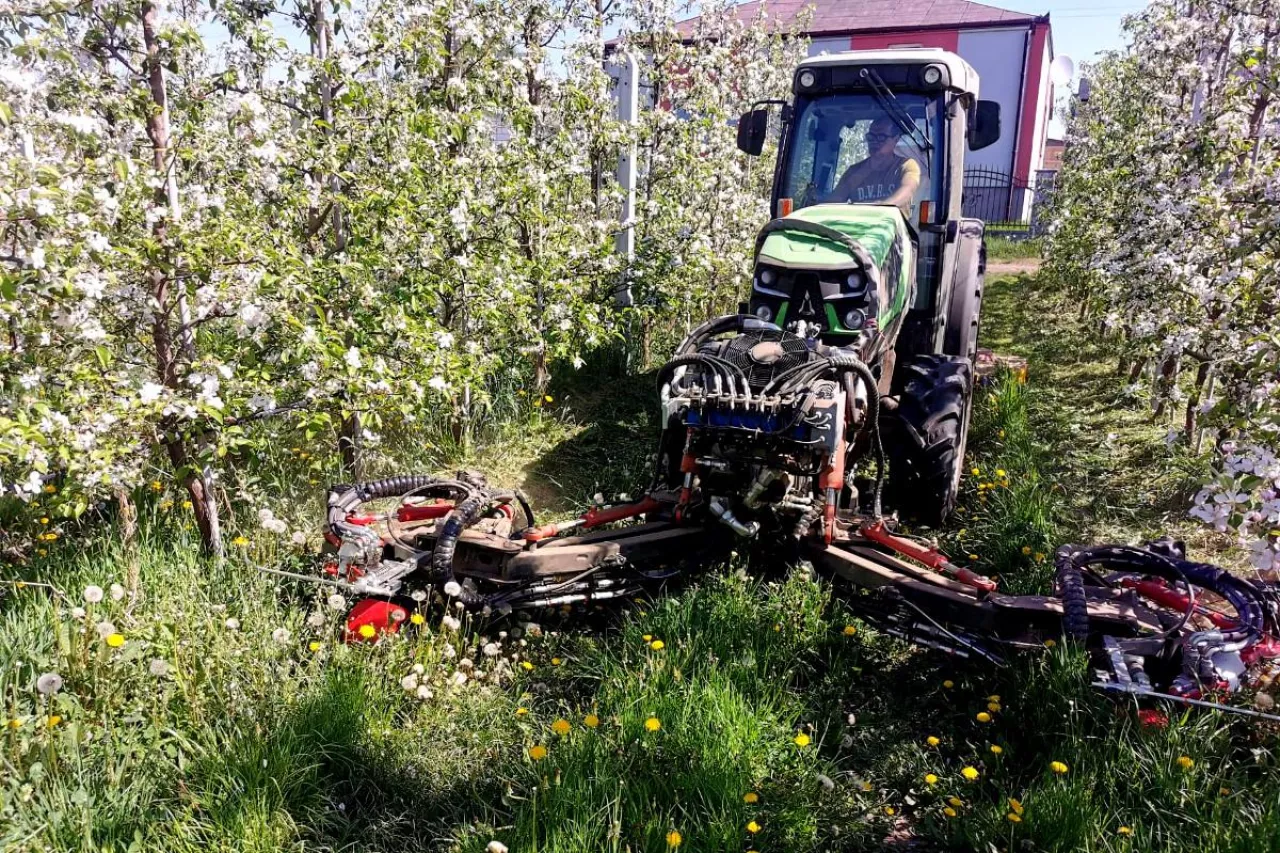 pokaz mechanicznego usuwania chwastow