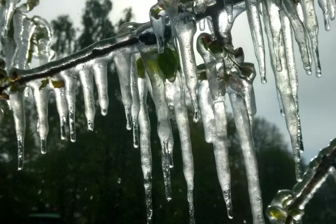 przymrozki 17.05.2022 i przymrozki wiosenne 18.05.2022