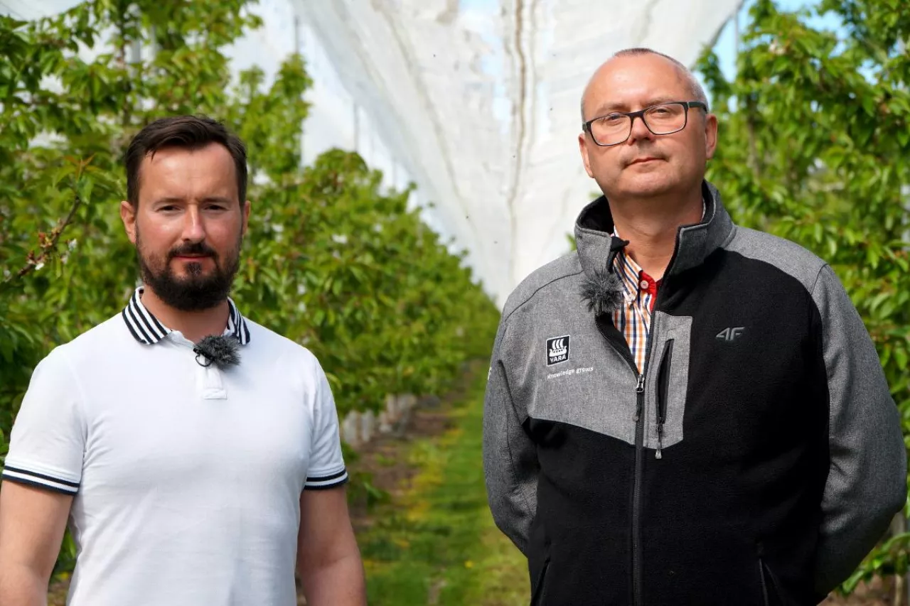 michal wojcieszek i andrzej grenda