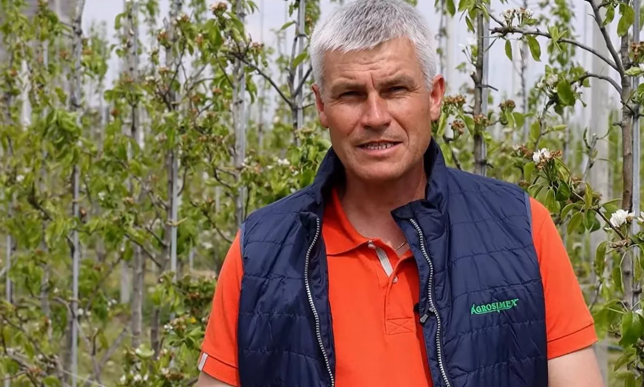 Robert Binkiewicz Agrosimex - komunikat dla grusz 2022