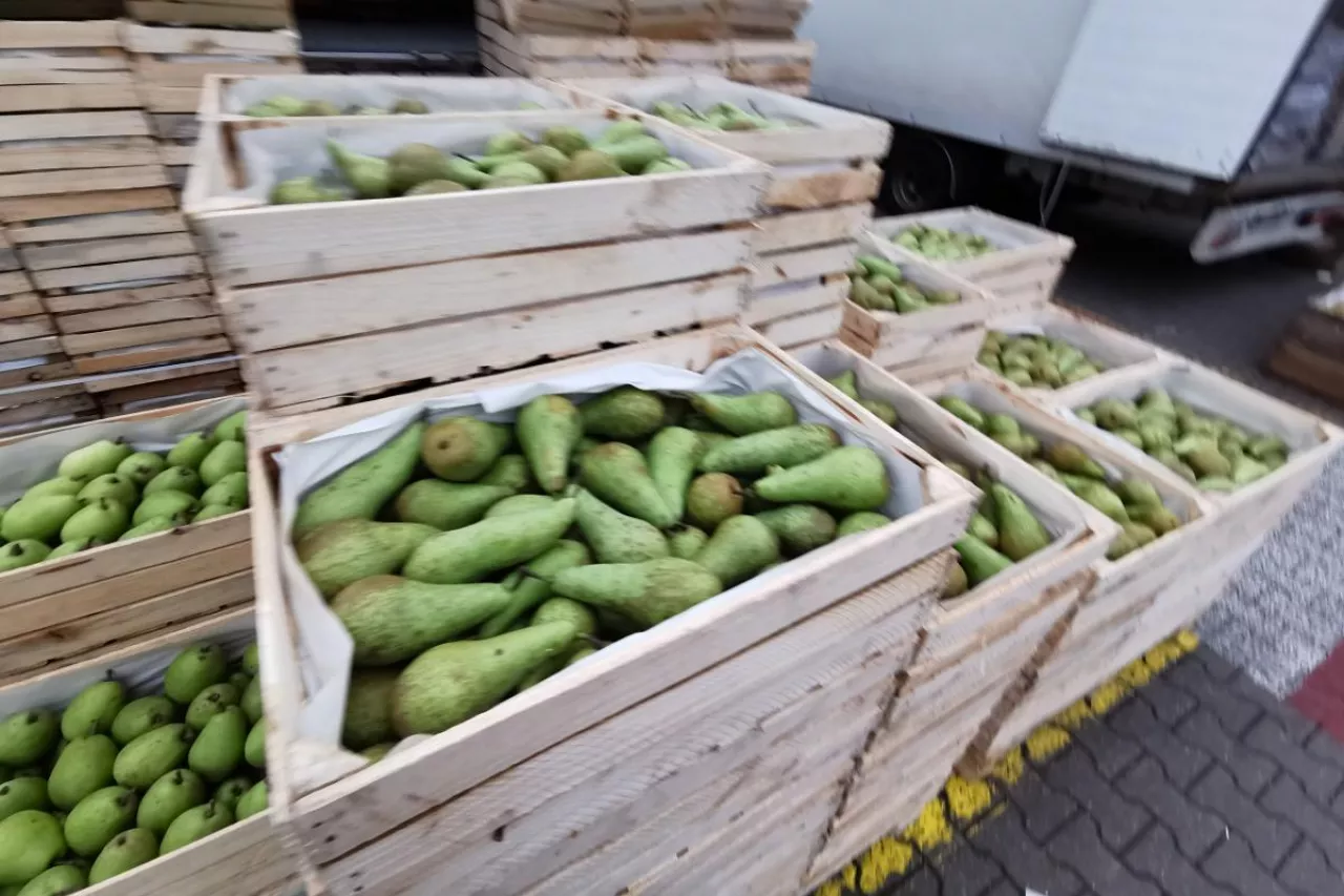 gruszki w benelusie, dobre ceny