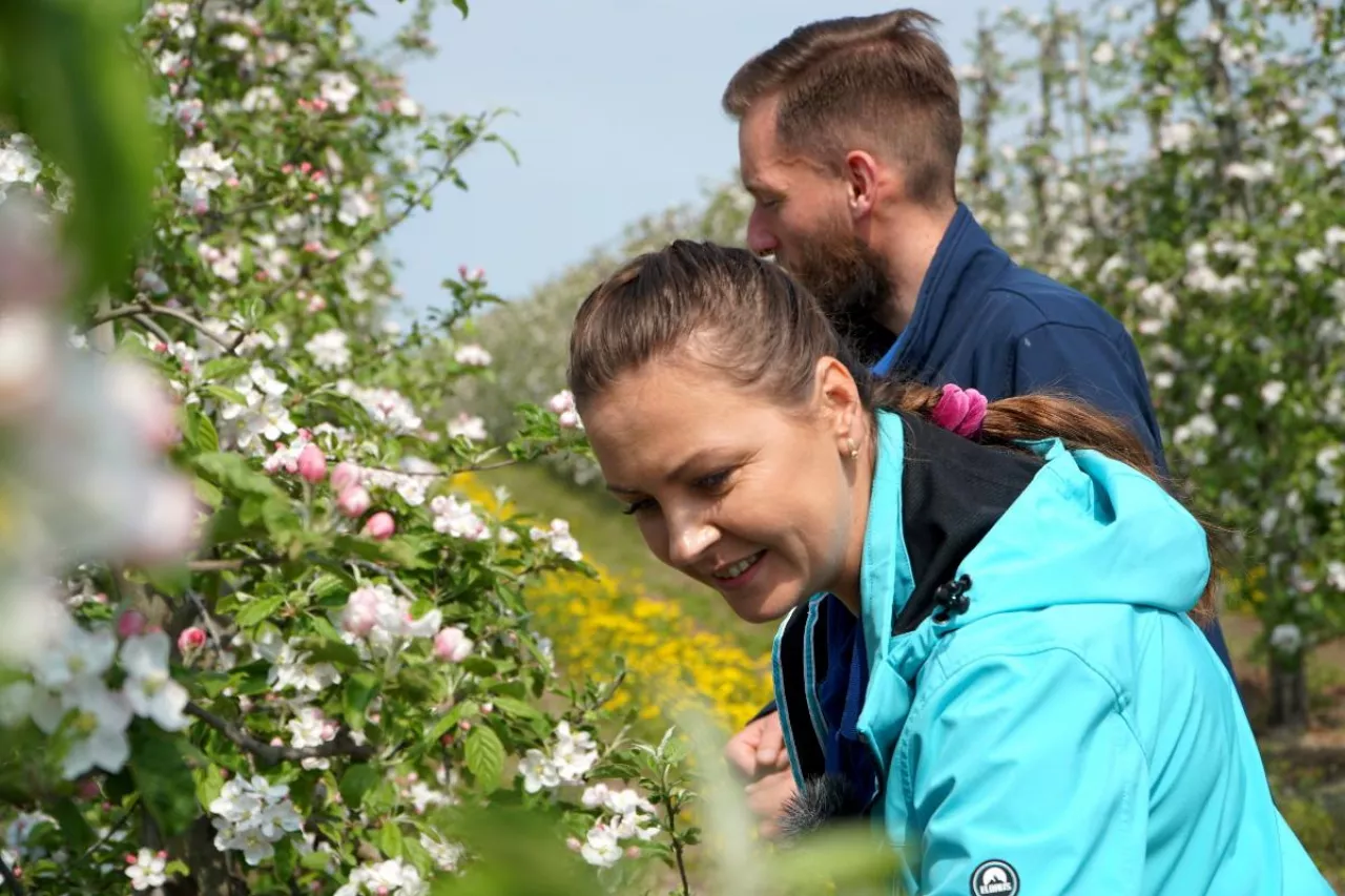 komunikat sadowniczy Timac Agro