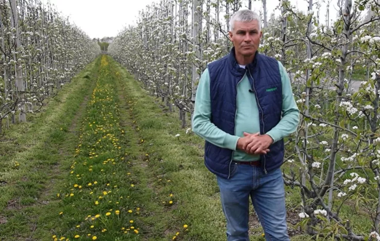 Robert Binkiewicz - komunikat sadowniczy dla grusz 04.05.2022 - Agrosimex - Doradca Sadowniczy