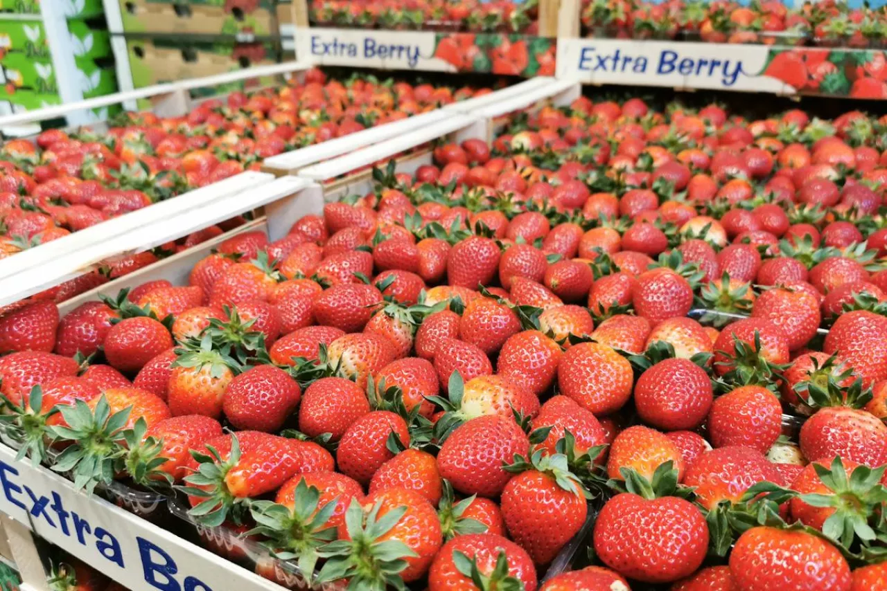 importowane truskawki