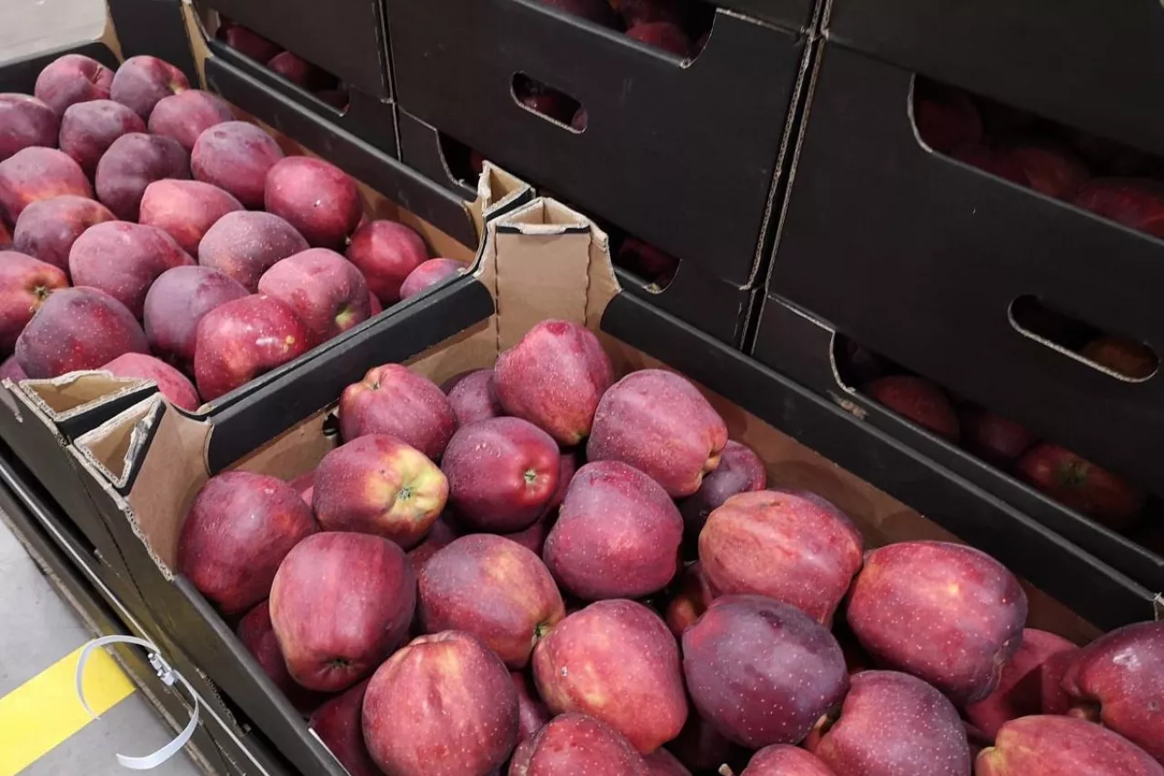 ceny jabłek deserowych