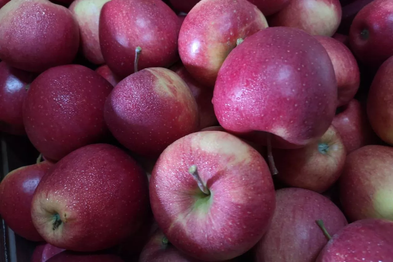 ceny jabłek