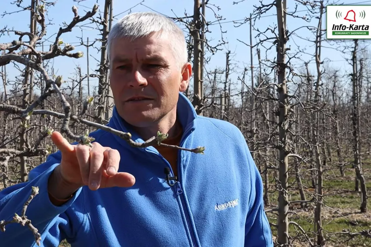 komunikaty sadownicze