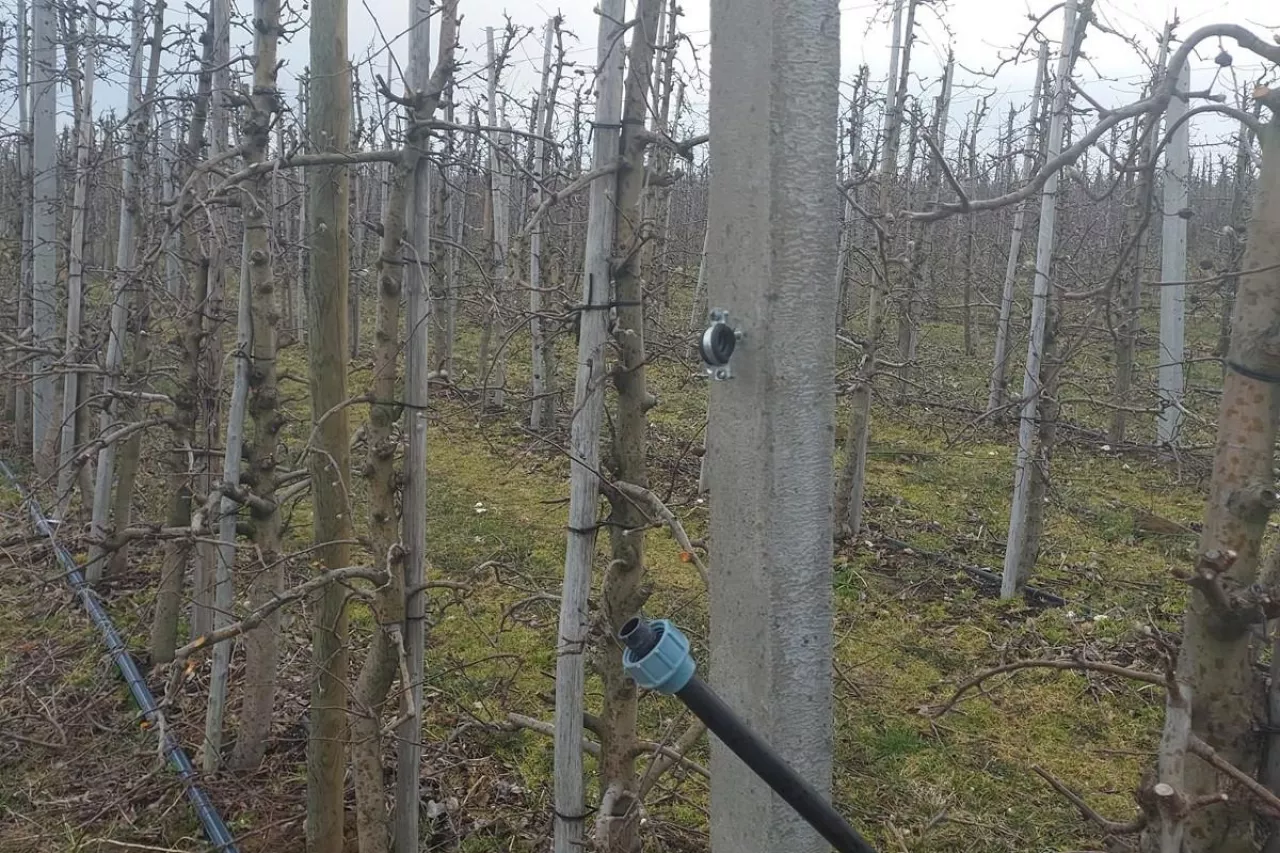 kradzież złodzieje