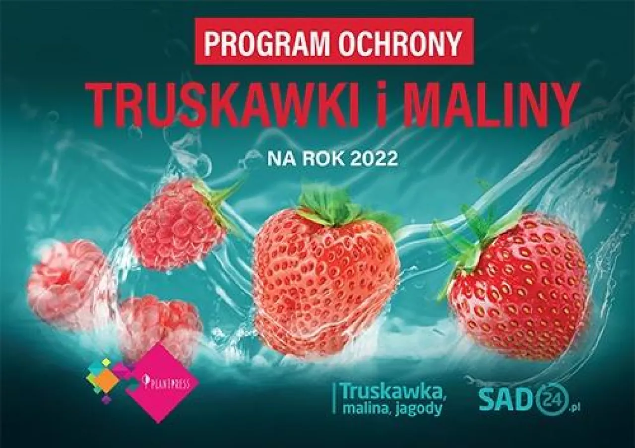 program ochrony