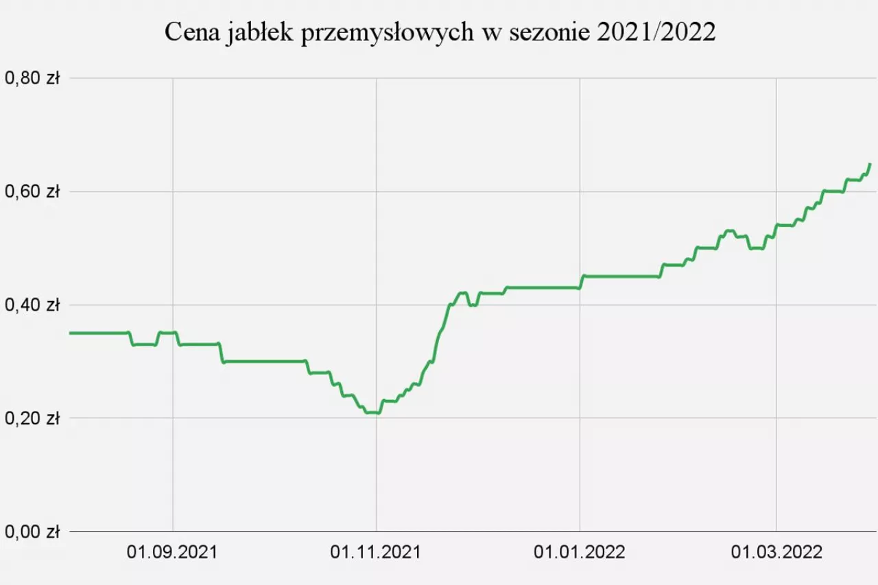 ceny jabłek przemysłowych