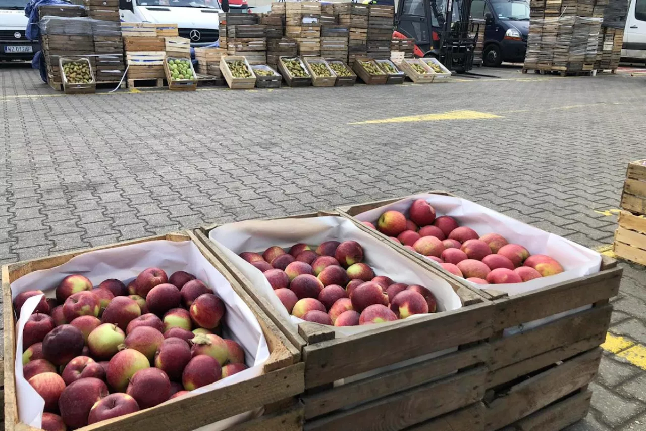 ceny jabłek na broniszach