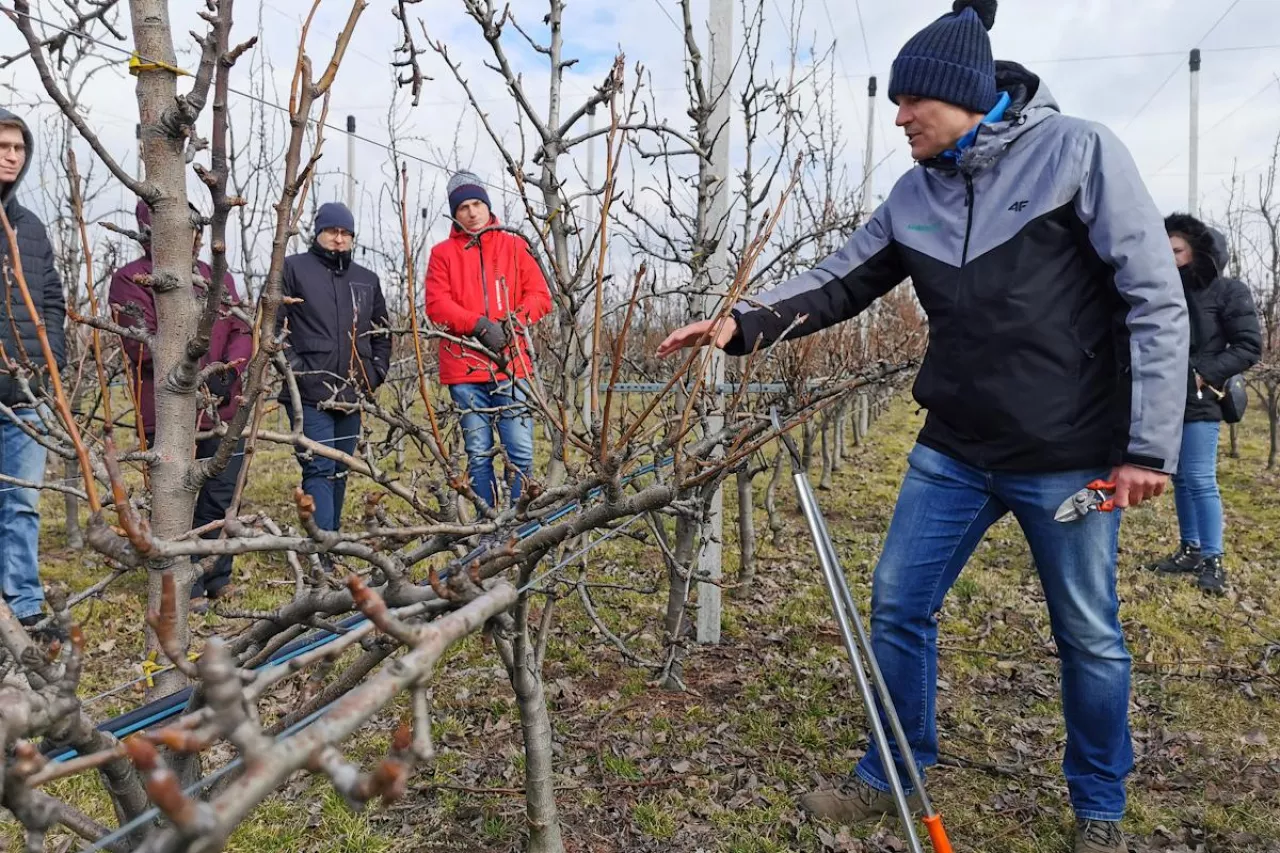 pokaz cięcia konferencji