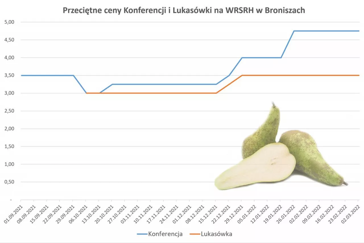 konferencja bronisze
