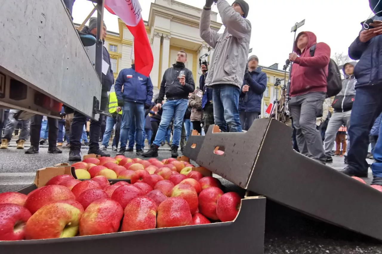 protest rolników