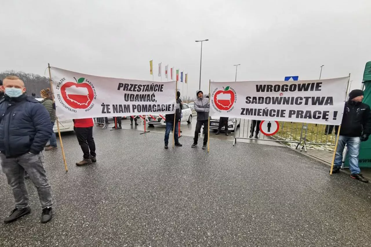protest sadowników