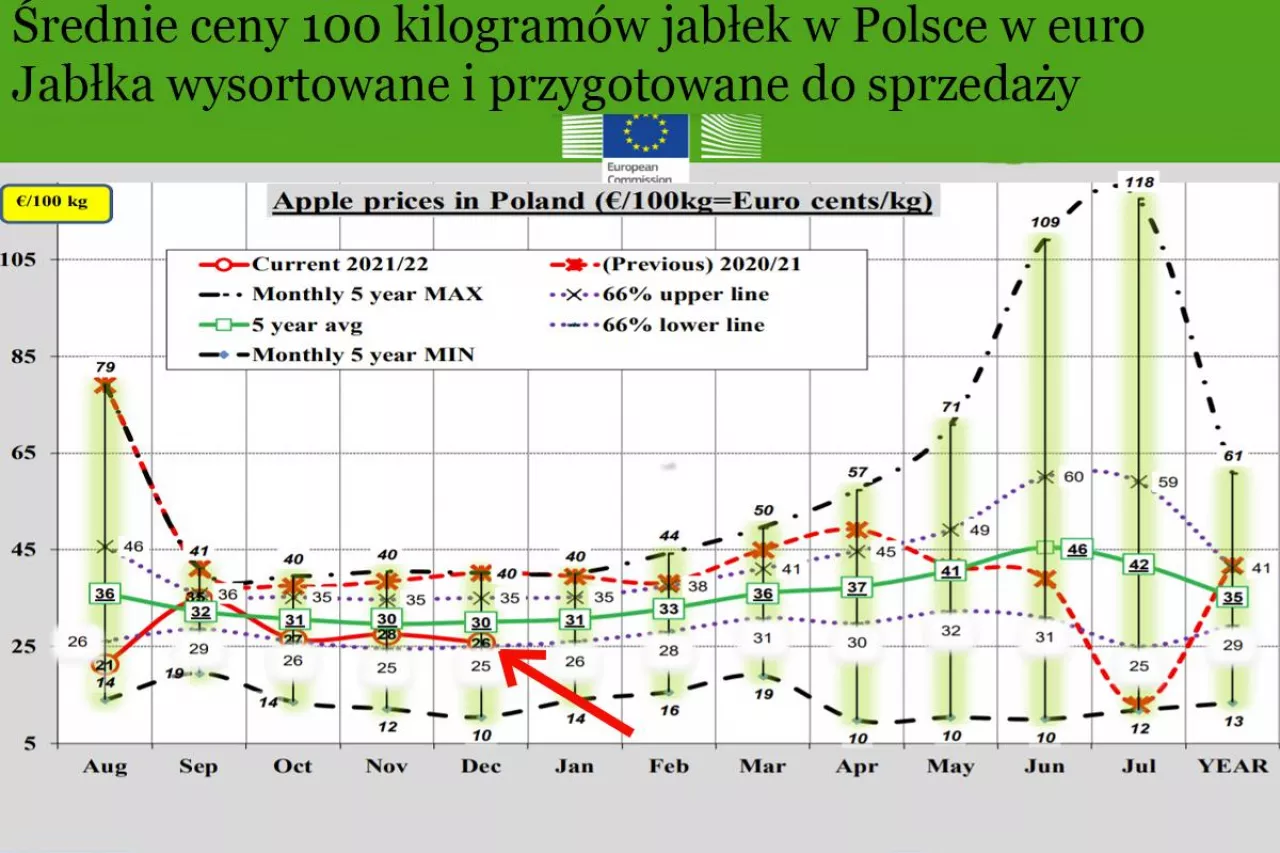 ceny jabłek w grudniu