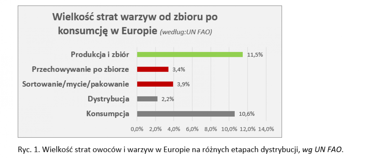Ryc. 1. Wielkość strat owoców i warzyw w Europie na różnych etapach dystrybucji, wg UN FAO.