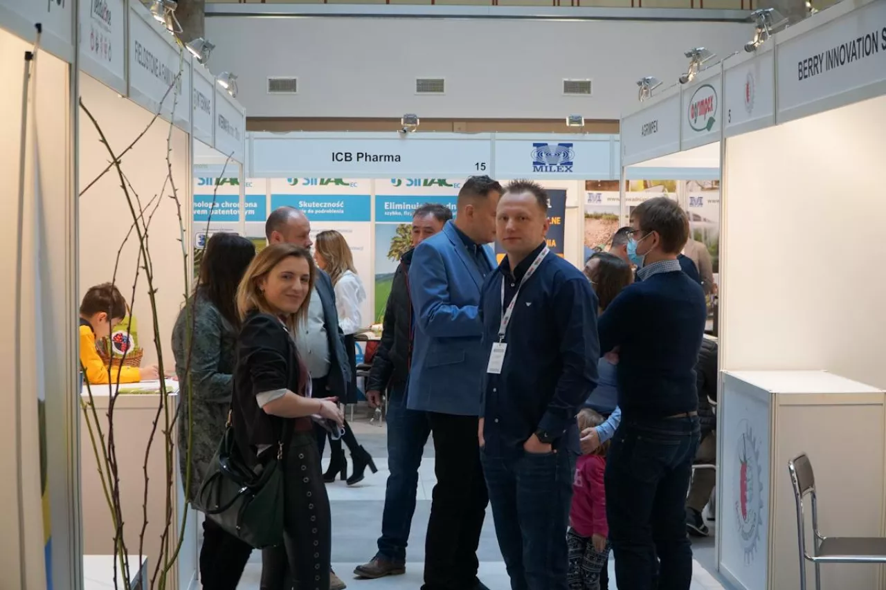 Jagodowe Trendy 2021