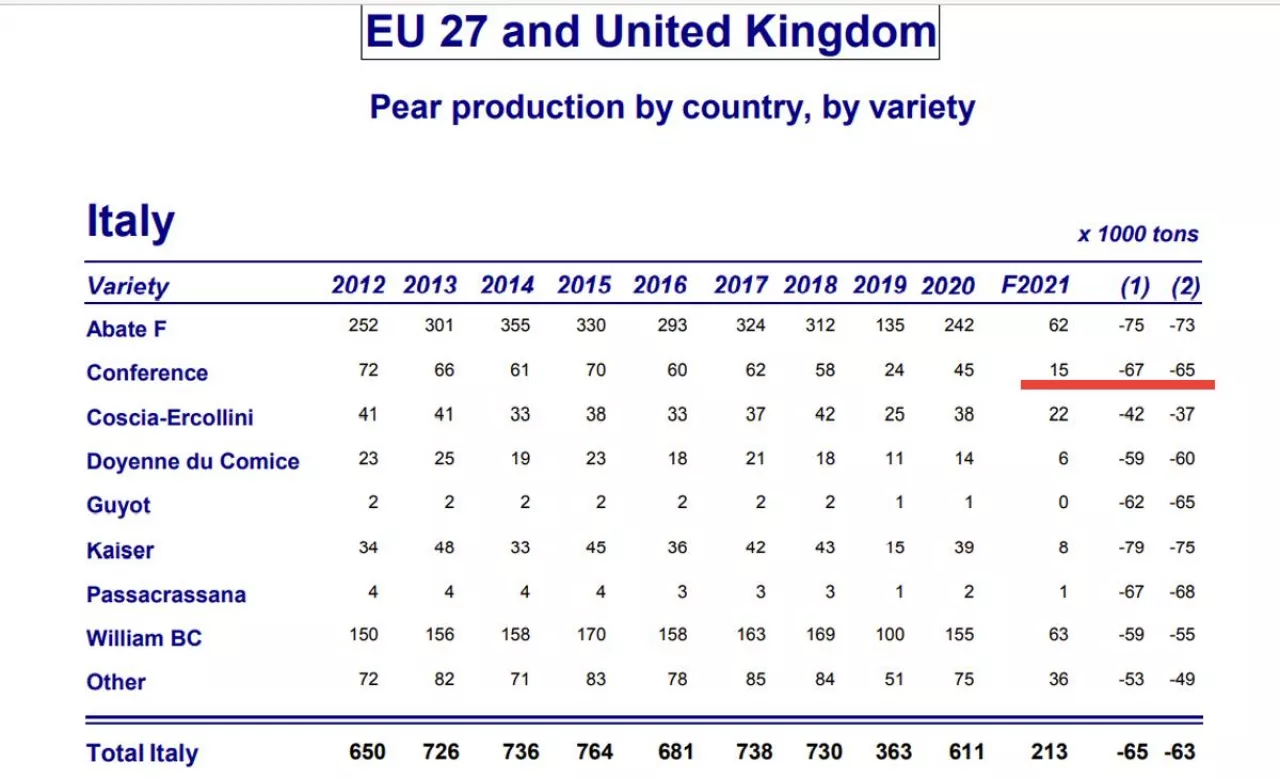 Produkcja gruszek we Włoszech. Źródło: WAPA Prognosfruit 2021