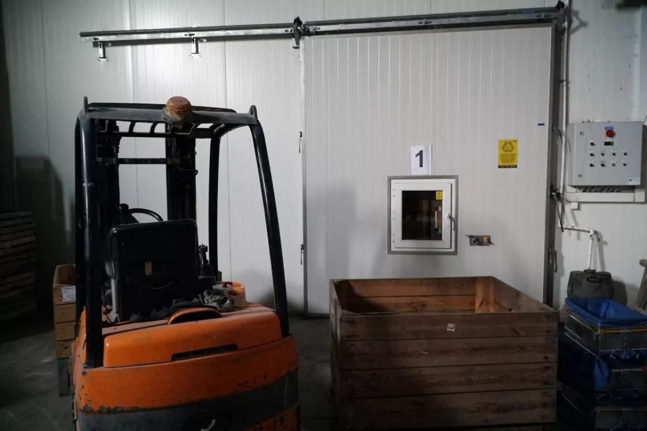 jabłka w chłdoniach