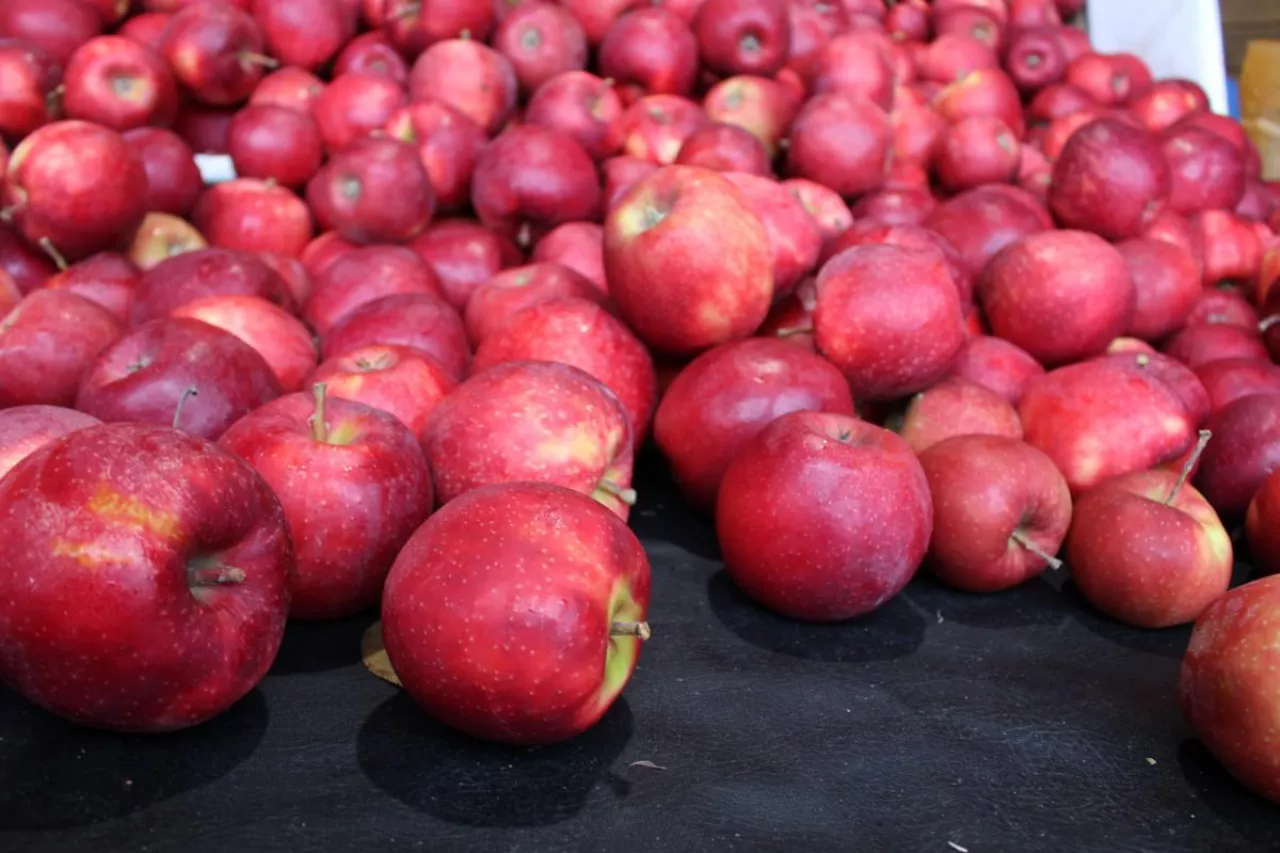 jablka na sortowanie