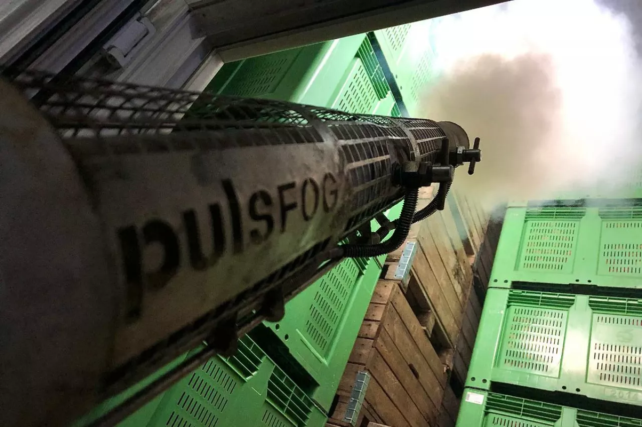 zamgławianie komór z jabłkami