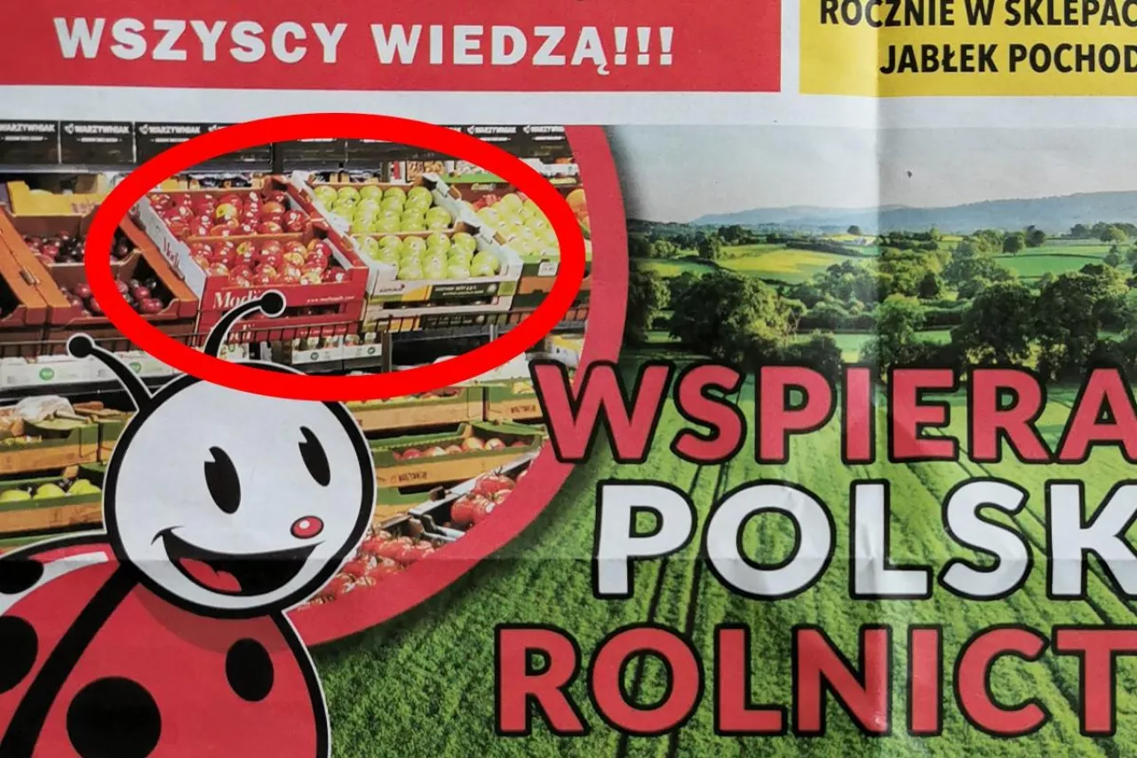 włoskie jabłka w polskim sklepie
