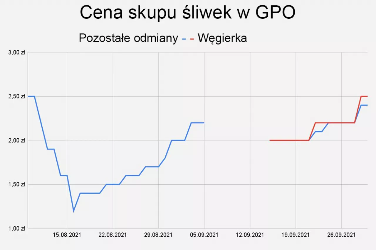 Średnie ceny skupu śliwek w grupach producentów owoców. Dane własne. Opracowanie własne.