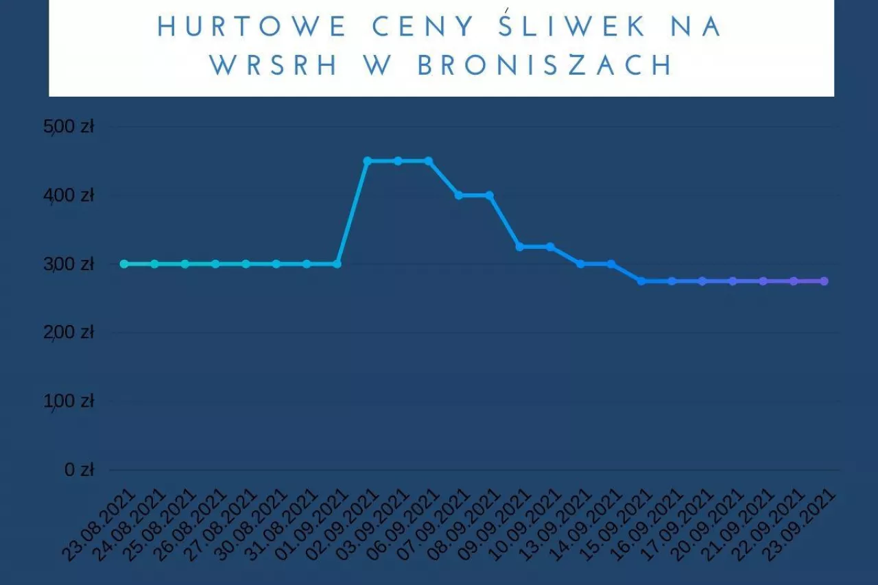 ceny śliwek bronisze