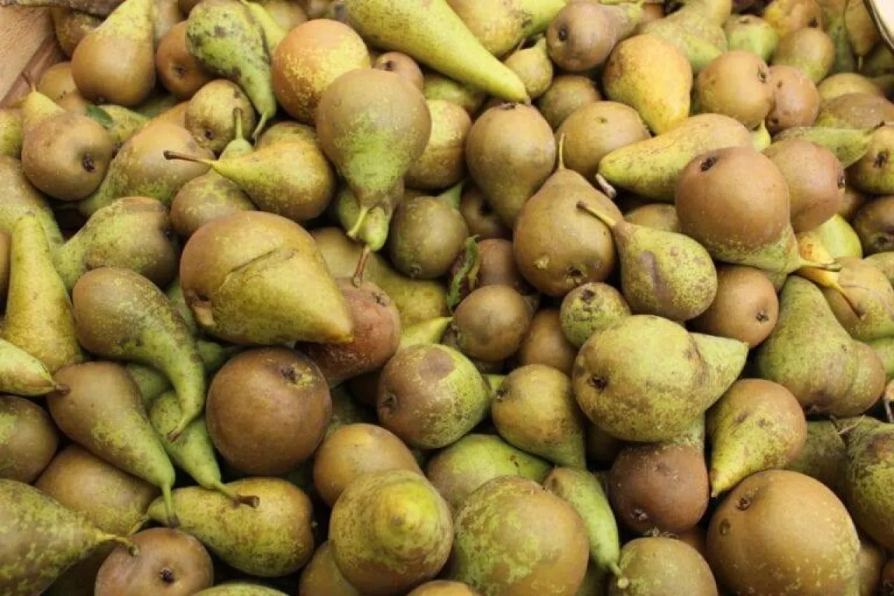 gruszki przemysłowe