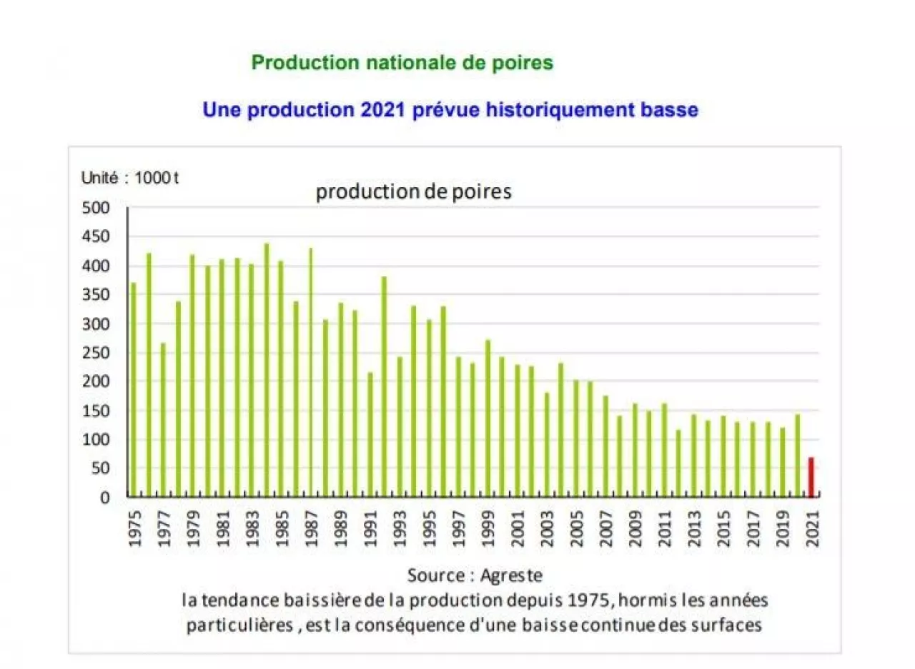 Produkcja jabłek we Francji / grafika agriculture.gouv.fr