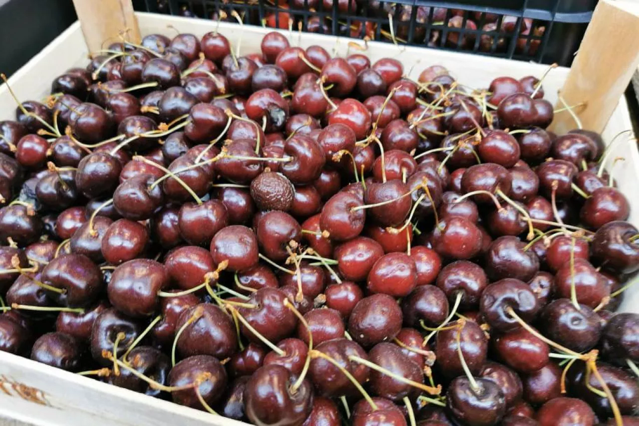 importowane czereśnie