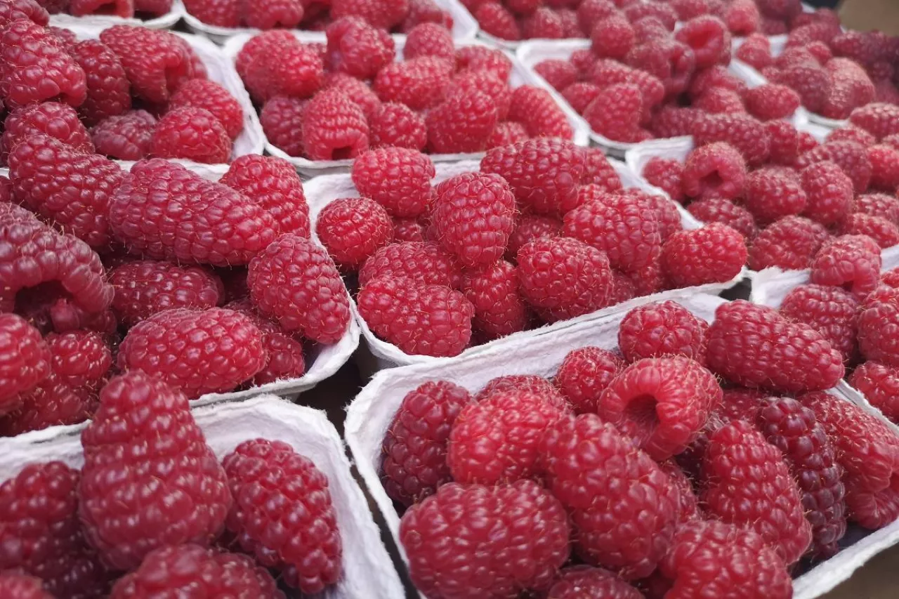 ceny owoców miękkich 2021